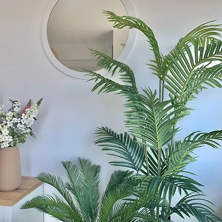 Met Directe Toegang Tot Het ! Appartement Knokke-Heist