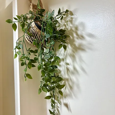 Met Directe Toegang Tot Het ! Knokke-Heist