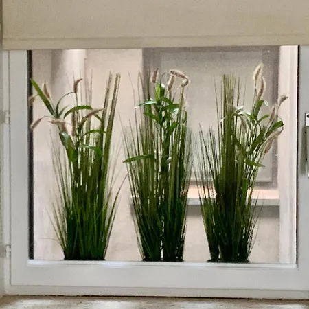 Appartement Met Directe Toegang Tot Het ! *